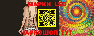 дмт Славгород