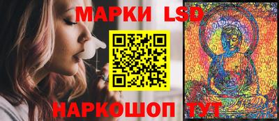 дмт Славгород
