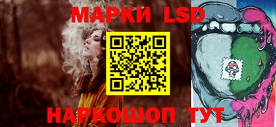 дмт Славгород